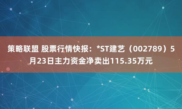 策略联盟 股票行情快报：*ST建艺（002789）5月23日主力资金净卖出115.35万元