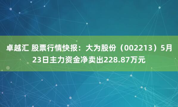卓越汇 股票行情快报：大为股份（002213）5月23日主力资金净卖出228.87万元