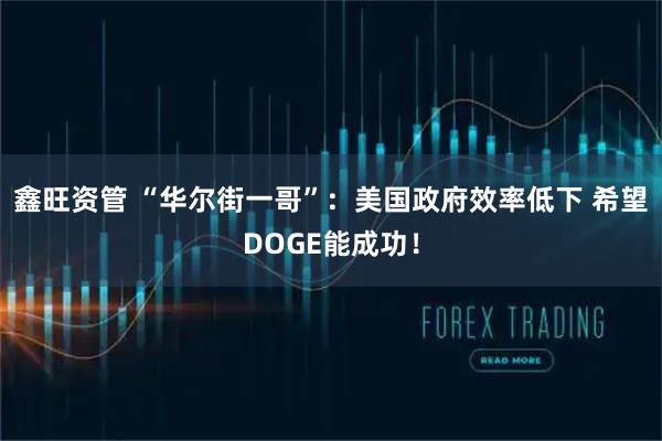 鑫旺资管 “华尔街一哥”：美国政府效率低下 希望DOGE能成功！
