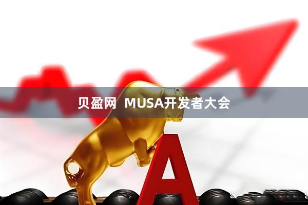 贝盈网  MUSA开发者大会